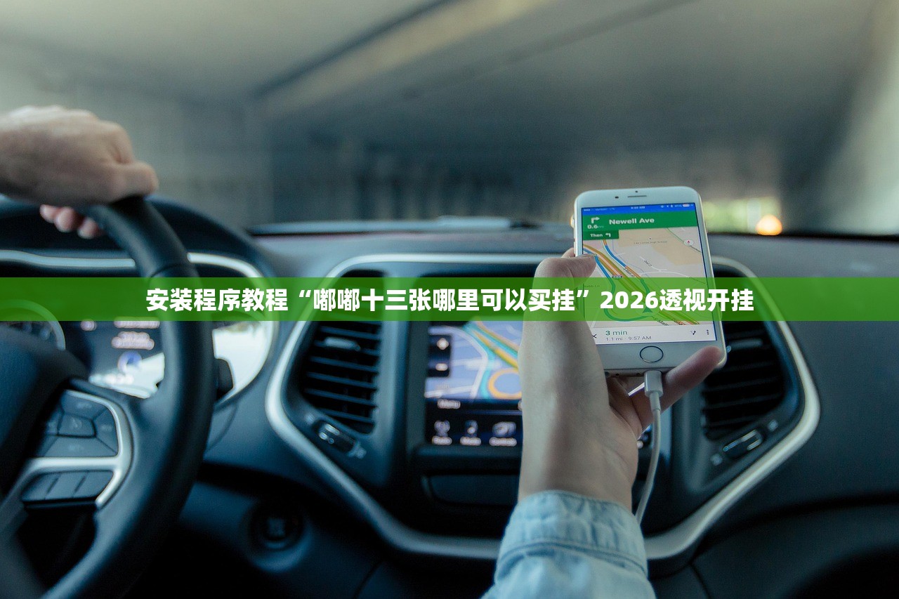 安装程序教程“嘟嘟十三张哪里可以买挂”2026透视开挂