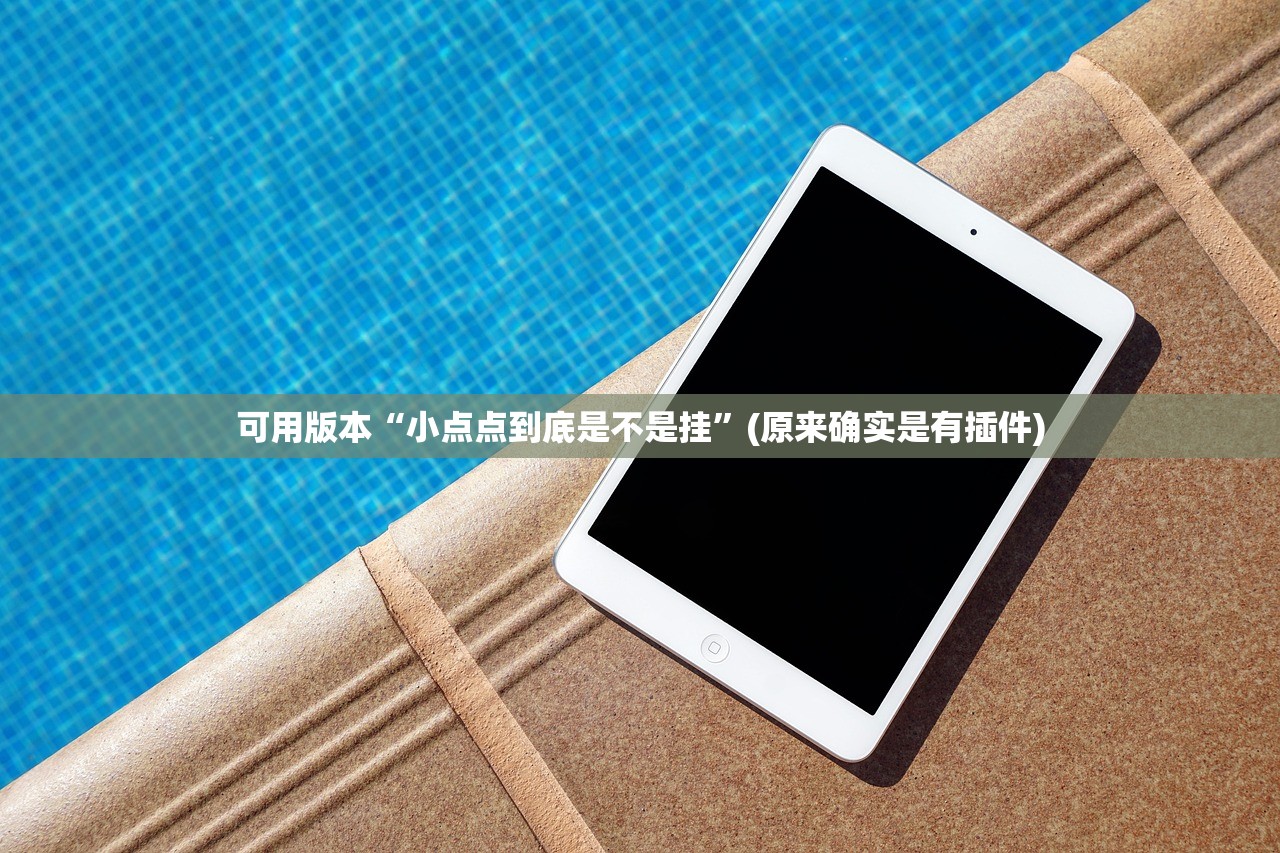 可用版本“小点点到底是不是挂”(原来确实是有插件)