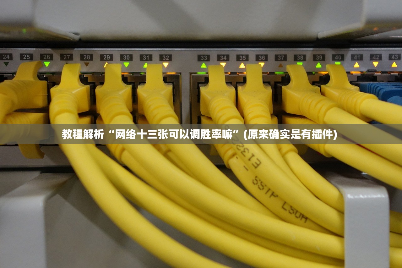 教程解析“网络十三张可以调胜率嘛”(原来确实是有插件) 