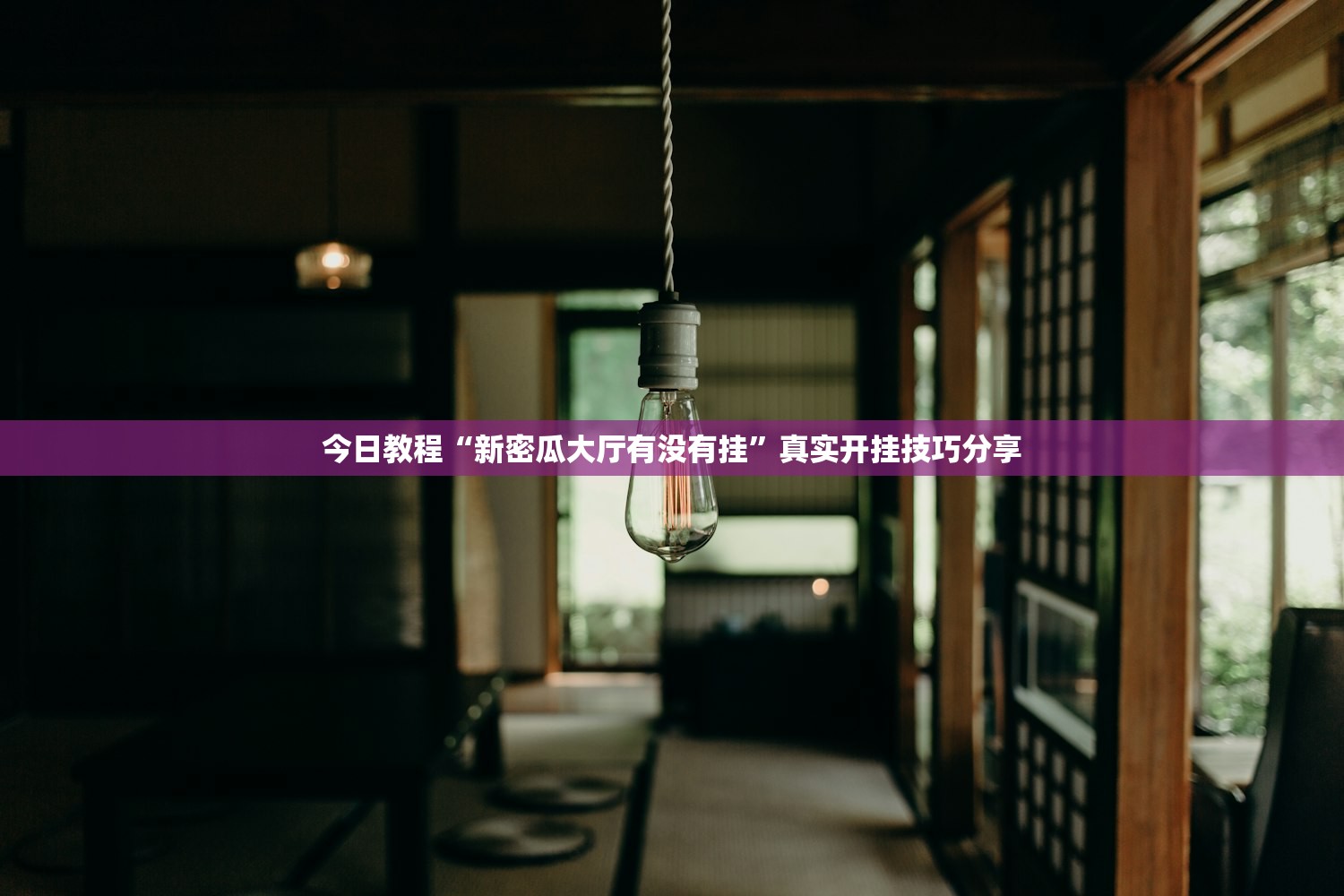 实操教程“白金岛十胡卡辅助器	”2026开挂教程步骤