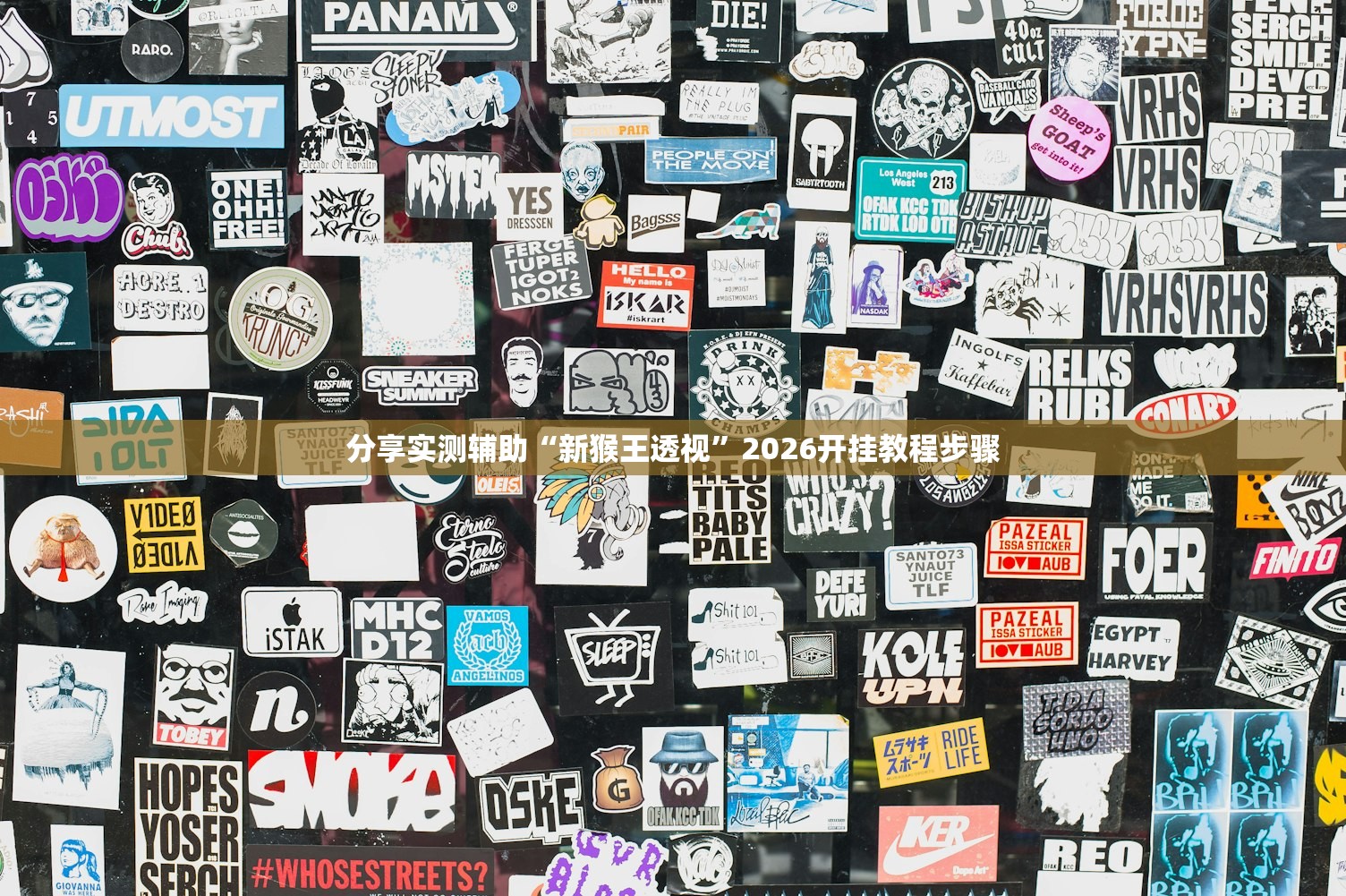 分享实测辅助“新猴王透视”2026开挂教程步骤