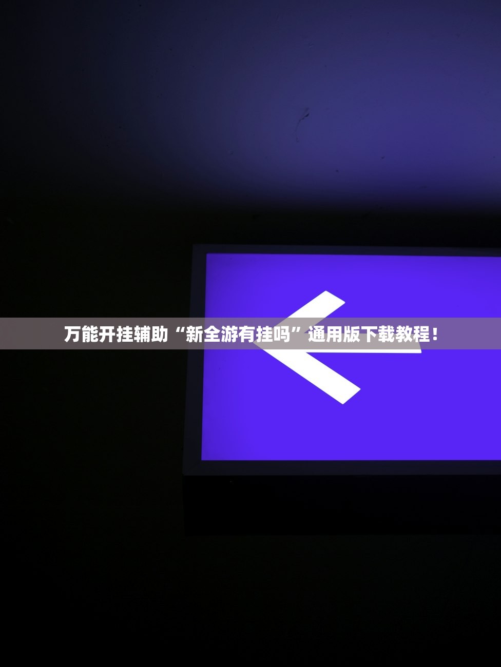 万能开挂辅助“新全游有挂吗”通用版下载教程！