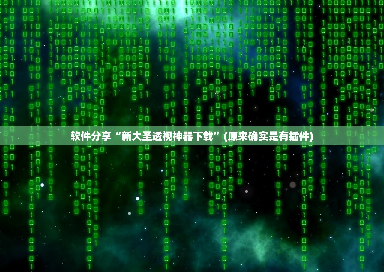 软件分享“新大圣透视神器下载”(原来确实是有插件)