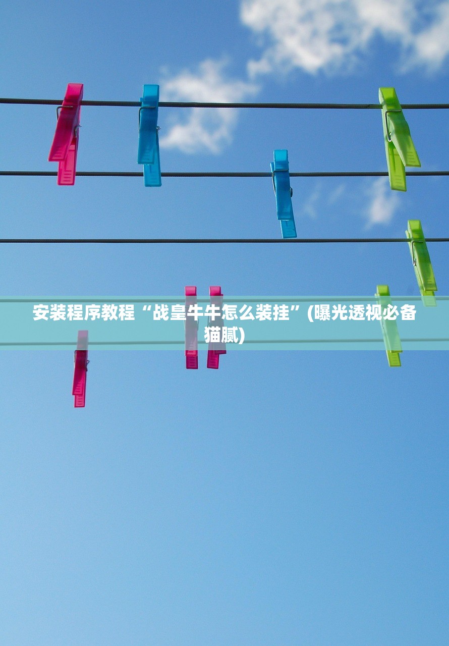 安装程序教程“战皇牛牛怎么装挂	”(曝光透视必备猫腻)