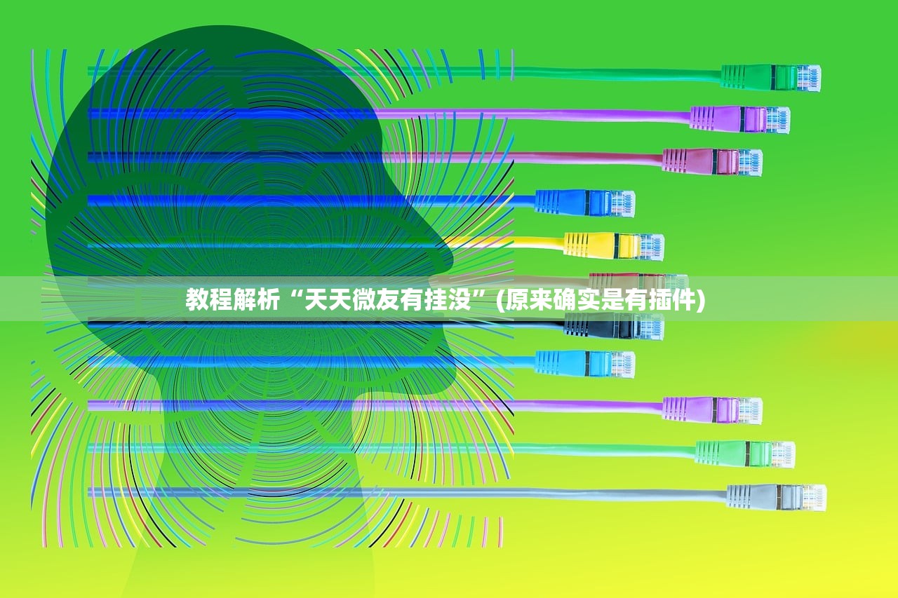 教程解析“天天微友有挂没	”(原来确实是有插件) 