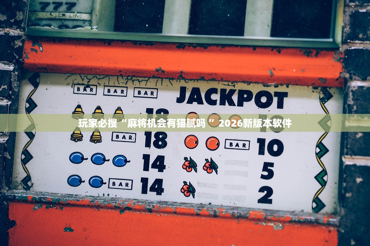 玩家必搜“麻将机会有猫腻吗 ”2026新版本软件