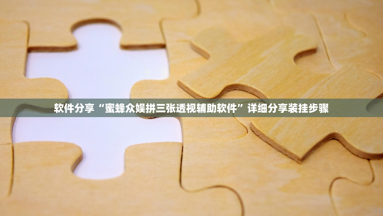 软件分享“蜜蜂众娱拼三张透视辅助软件”详细分享装挂步骤