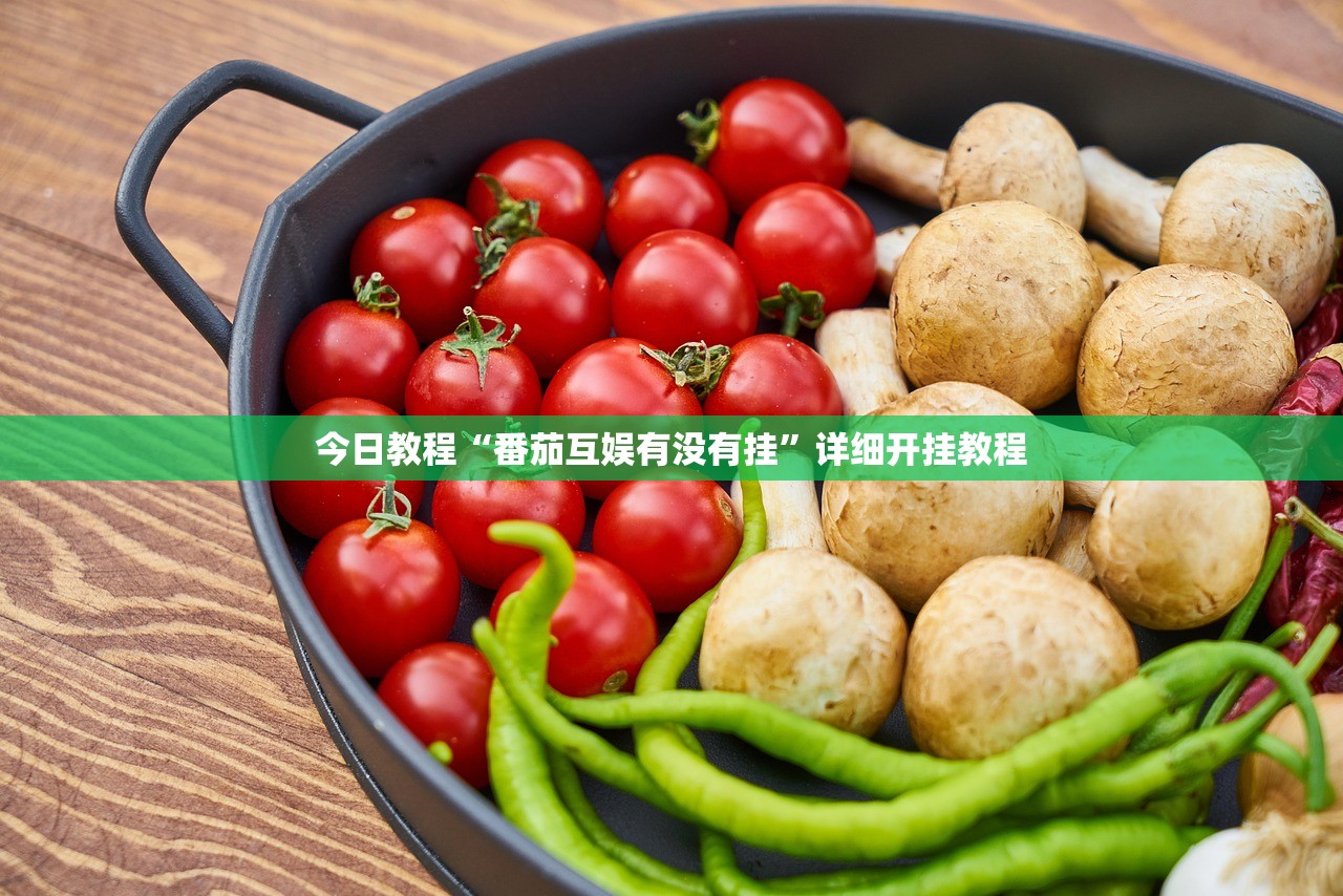 今日教程“番茄互娱有没有挂”详细开挂教程