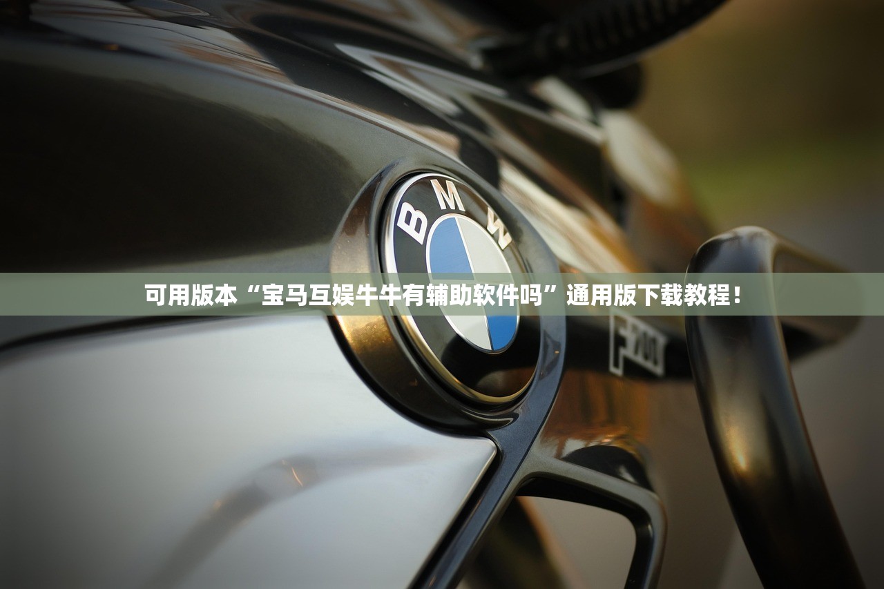 可用版本“宝马互娱牛牛有辅助软件吗”通用版下载教程！