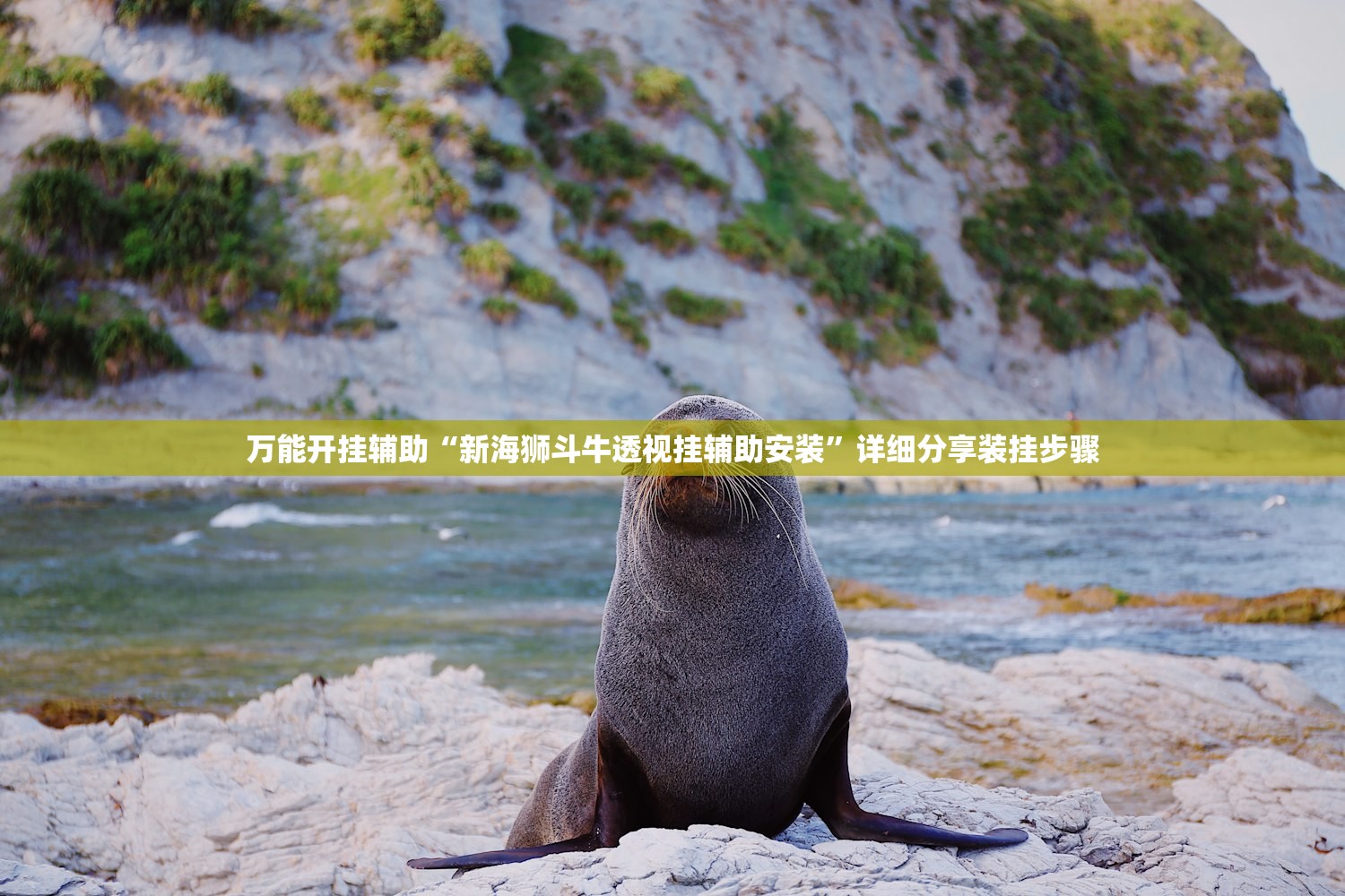 万能开挂辅助“新海狮斗牛透视挂辅助安装	”详细分享装挂步骤