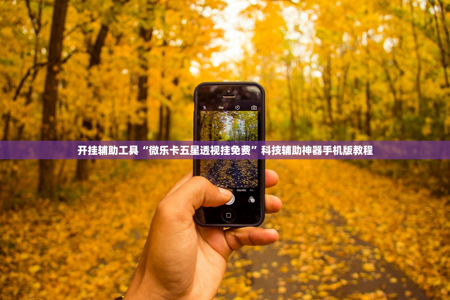 开挂辅助工具“微乐卡五星透视挂免费”科技辅助神器手机版教程