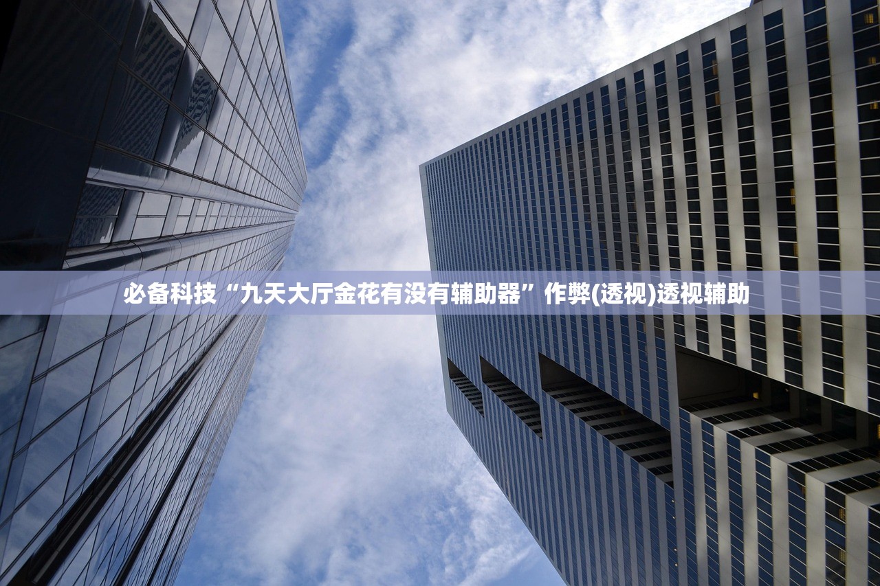 必备科技“九天大厅金花有没有辅助器	”作弊(透视)透视辅助 