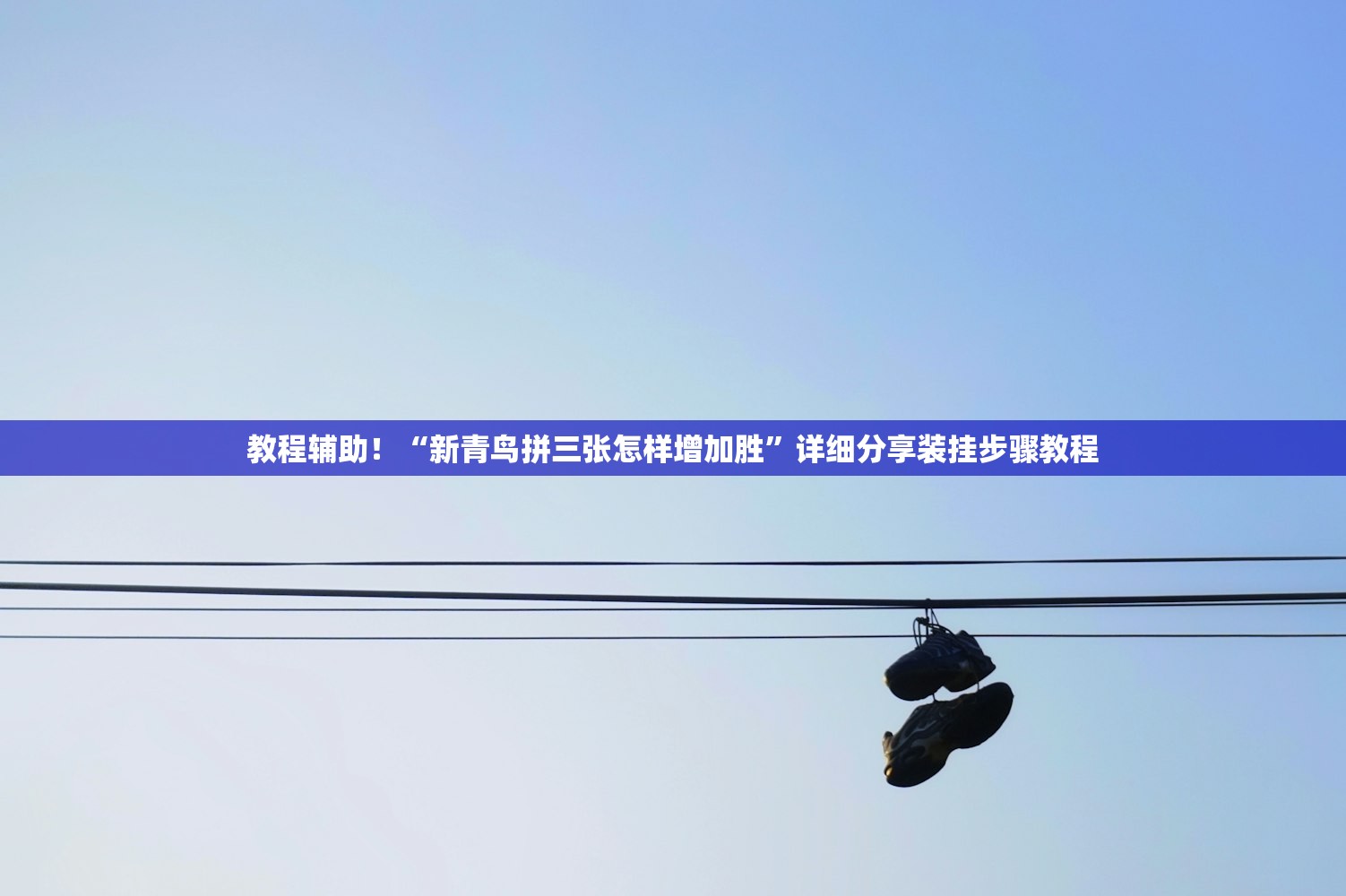教程辅助！“新青鸟拼三张怎样增加胜	”详细分享装挂步骤教程