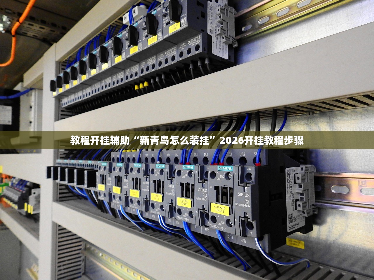 教程开挂辅助“新青鸟怎么装挂	”2026开挂教程步骤