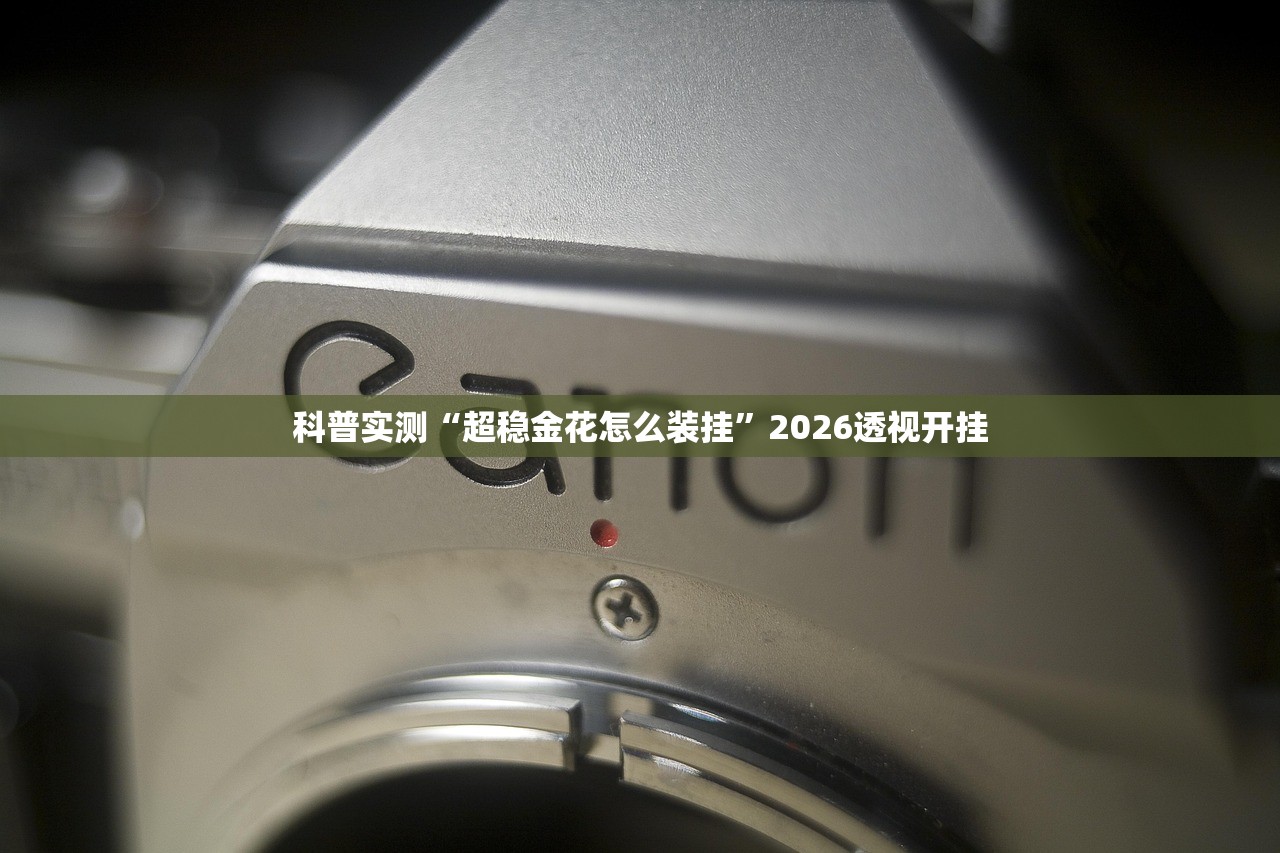 科普实测“超稳金花怎么装挂”2026透视开挂