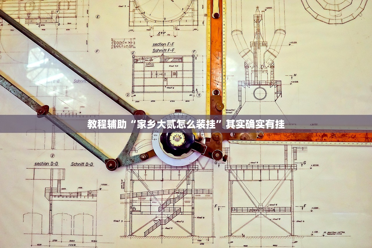 教程辅助“家乡大贰怎么装挂”其实确实有挂