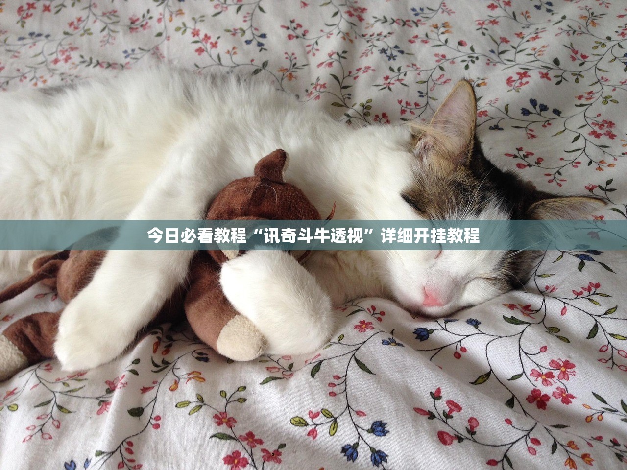 今日必看教程“讯奇斗牛透视”详细开挂教程