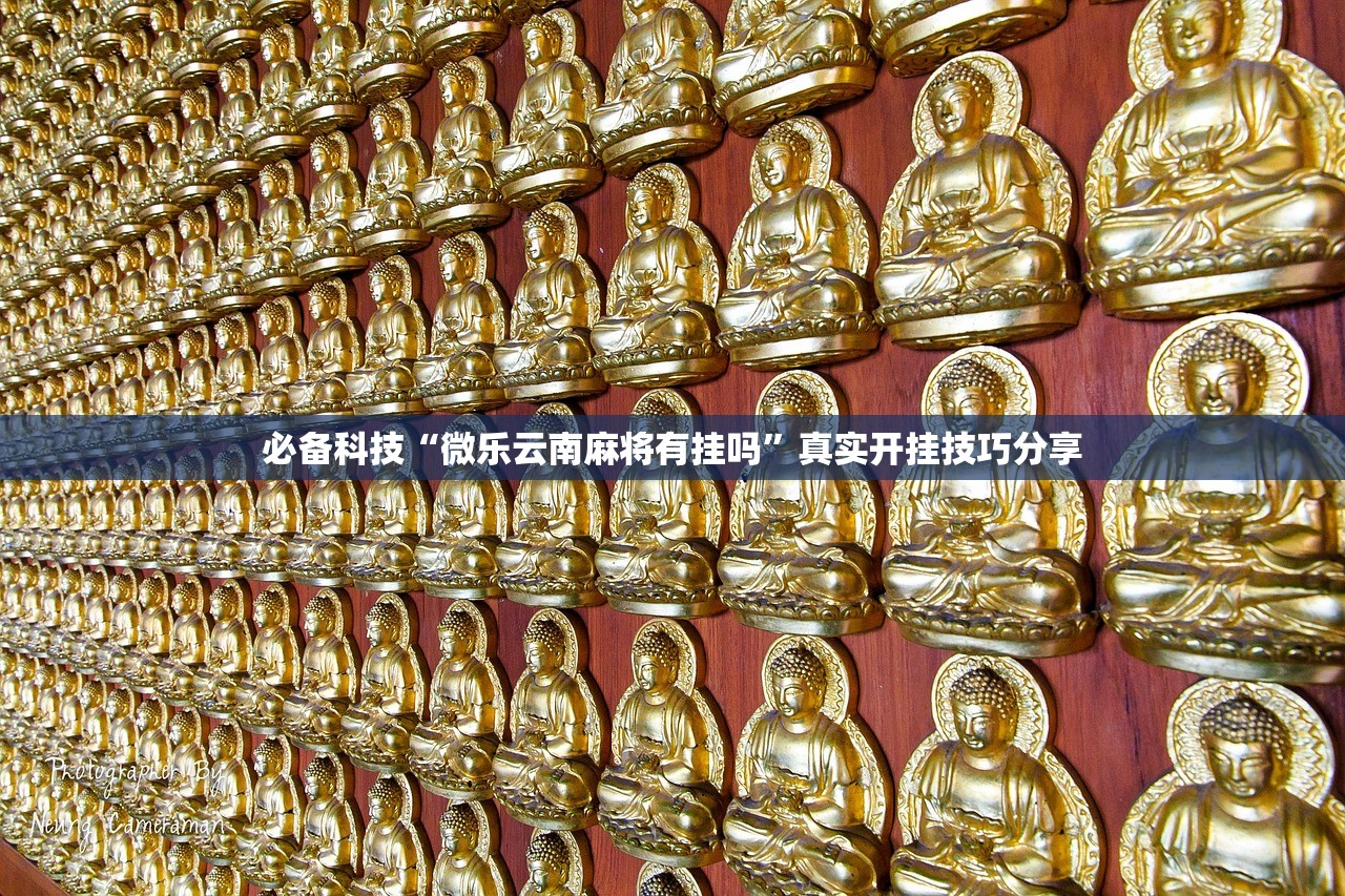必备科技“微乐云南麻将有挂吗	”真实开挂技巧分享