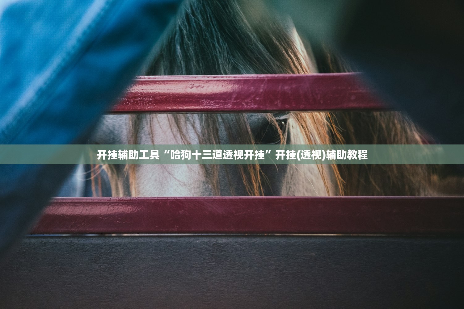 开挂辅助工具“哈狗十三道透视开挂	”开挂(透视)辅助教程