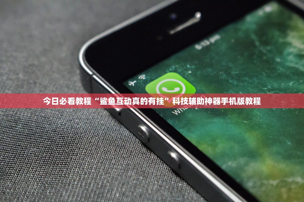 今日必看教程“鲨鱼互动真的有挂	”科技辅助神器手机版教程