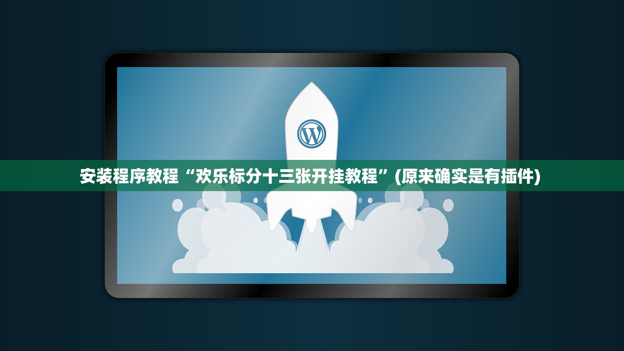 安装程序教程“欢乐标分十三张开挂教程”(原来确实是有插件) 