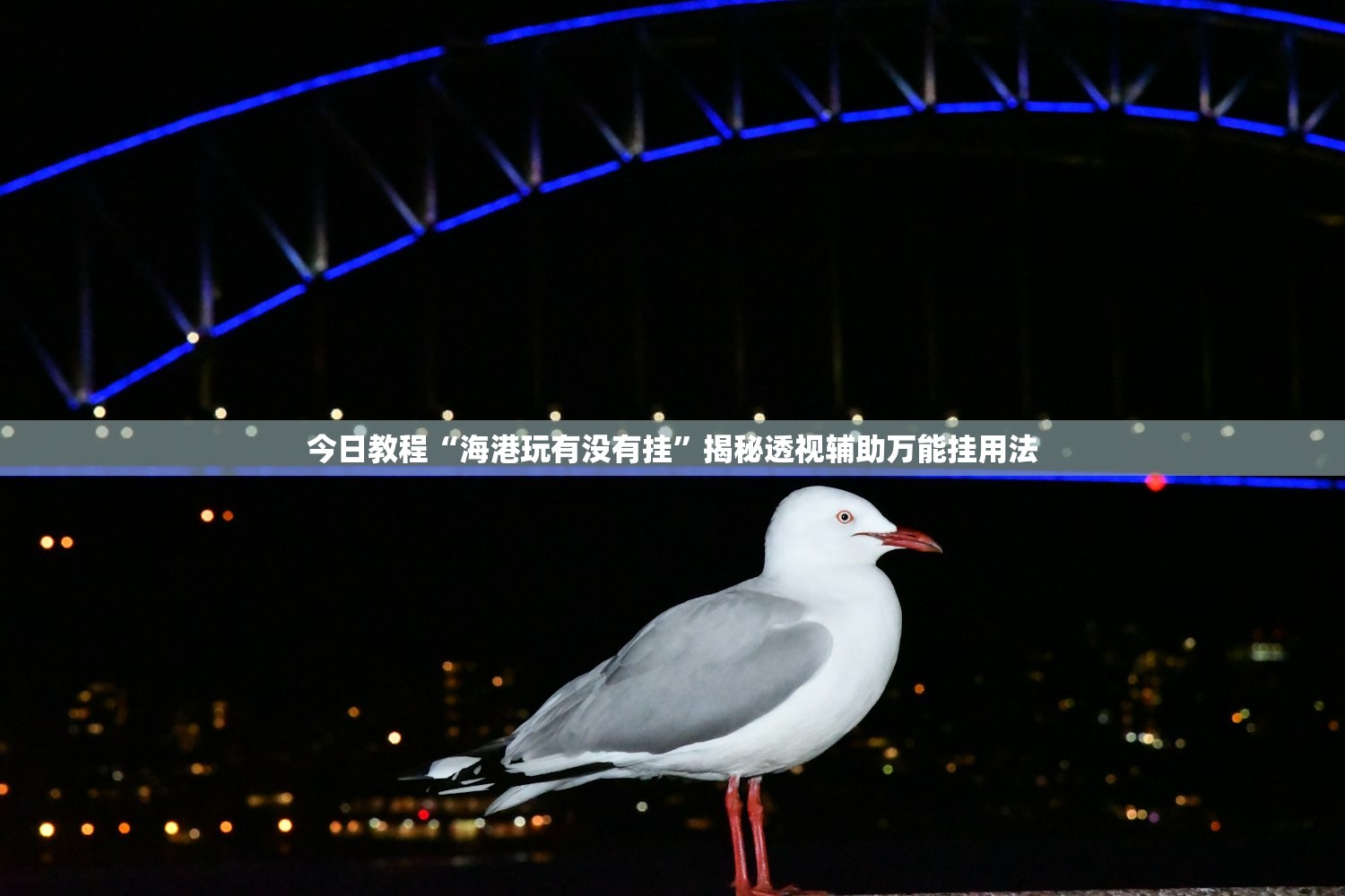 今日教程“海港玩有没有挂”揭秘透视辅助万能挂用法