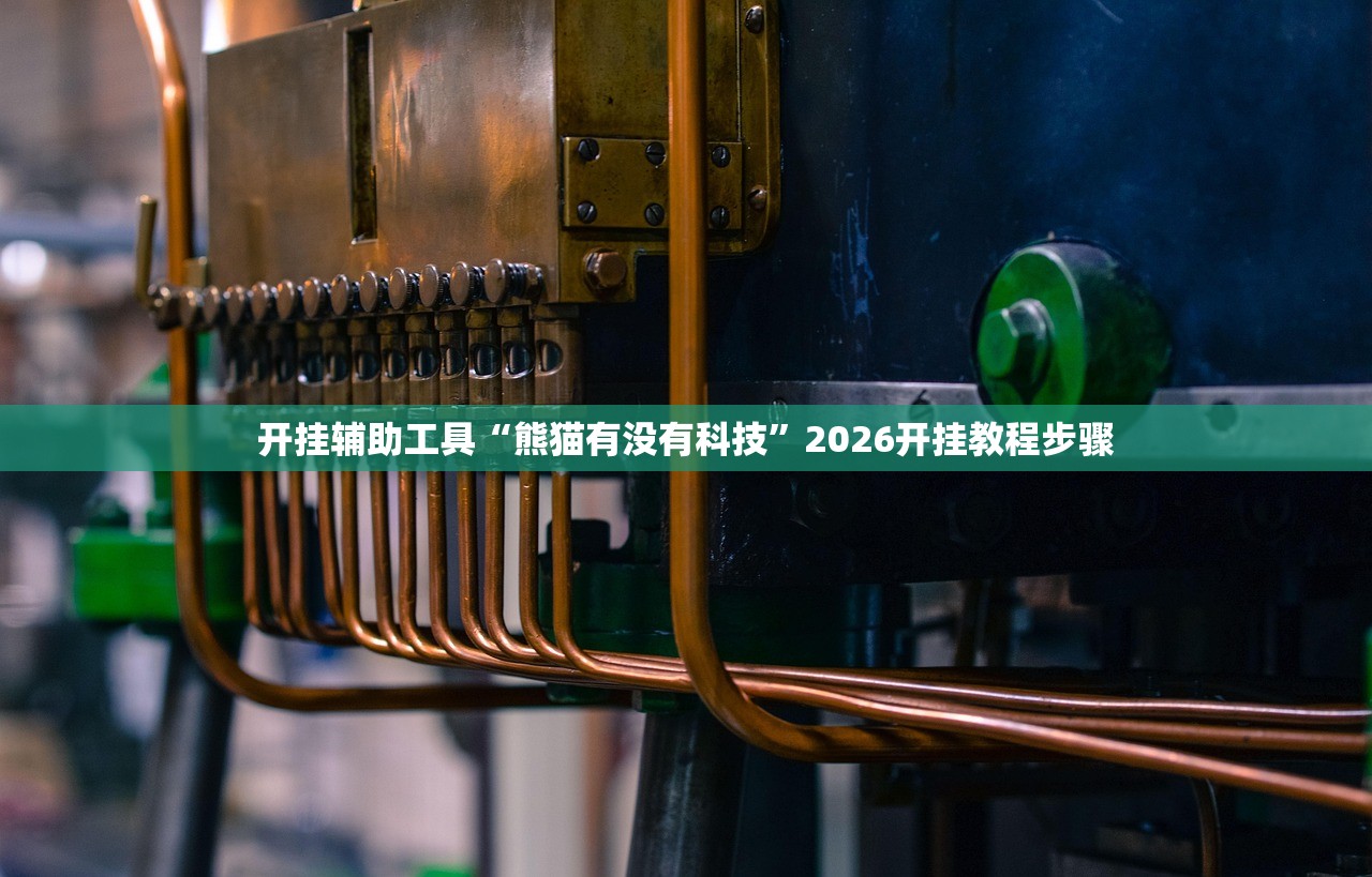开挂辅助工具“熊猫有没有科技	”2026开挂教程步骤
