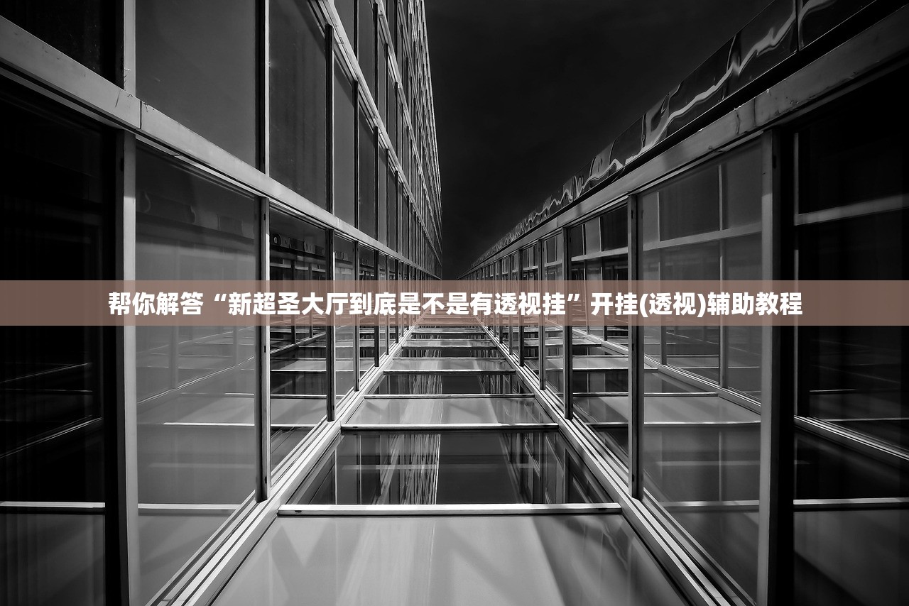 帮你解答“新超圣大厅到底是不是有透视挂”开挂(透视)辅助教程