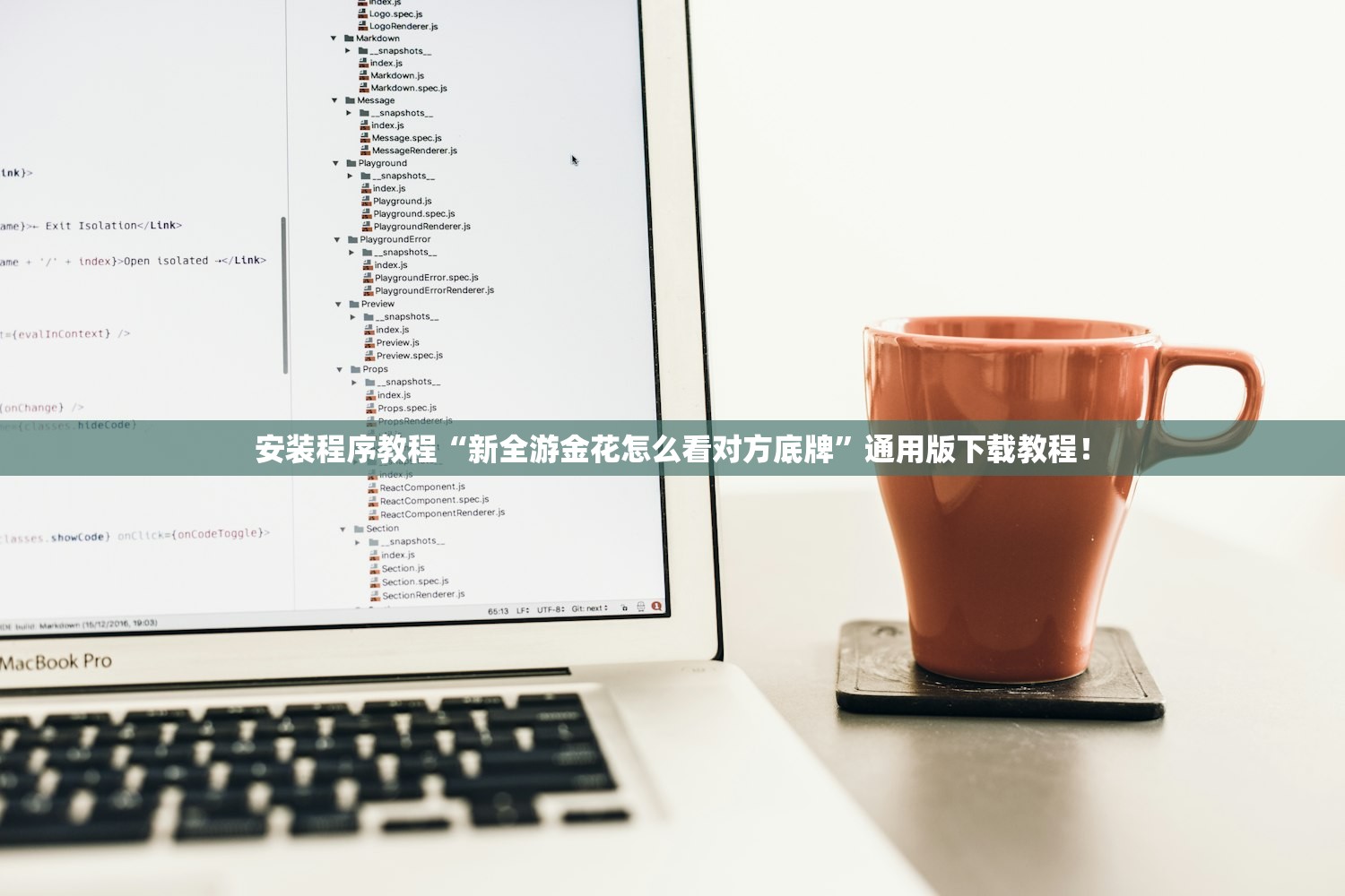 安装程序教程“新全游金花怎么看对方底牌	”通用版下载教程！