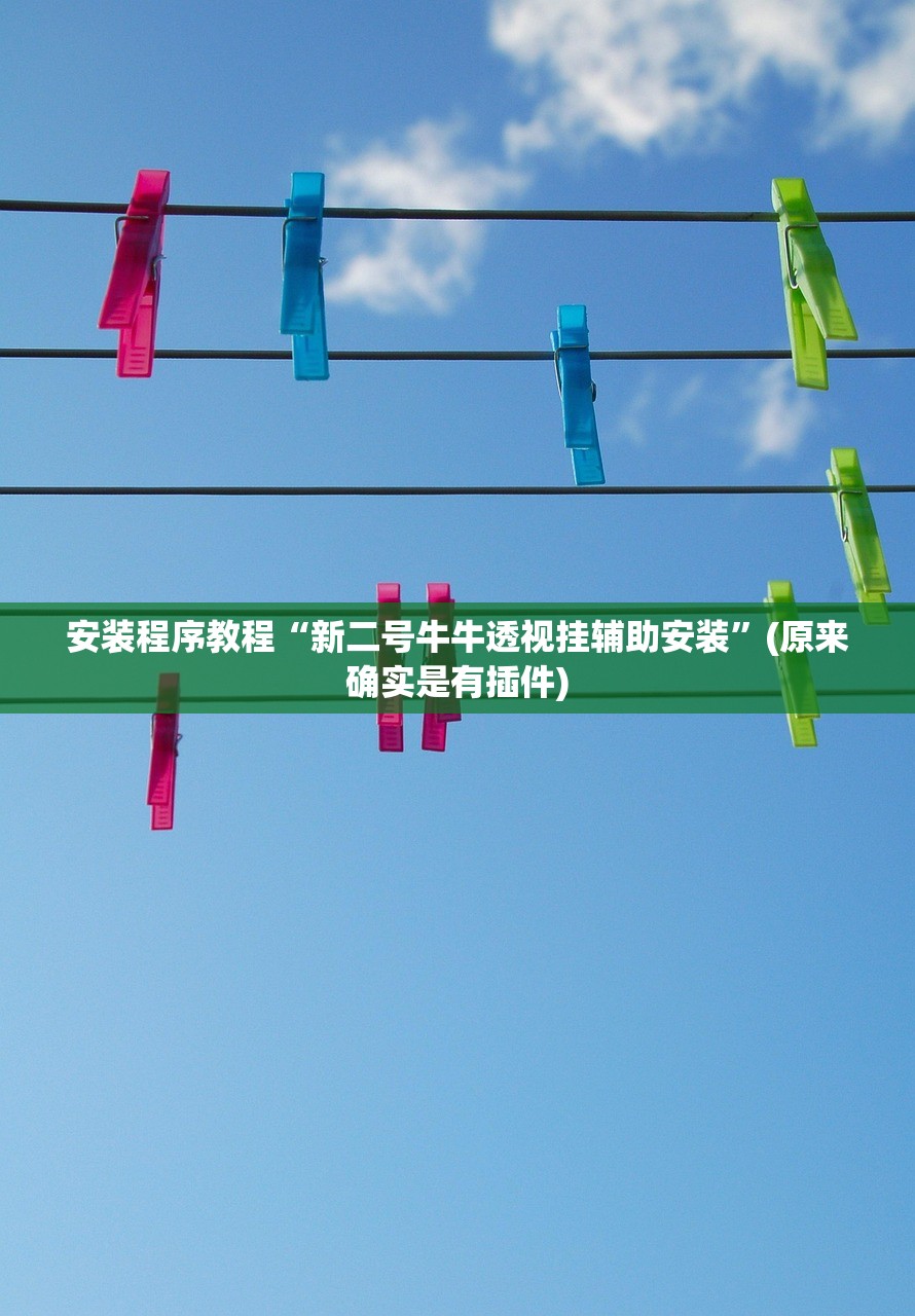 安装程序教程“新二号牛牛透视挂辅助安装”(原来确实是有插件)
