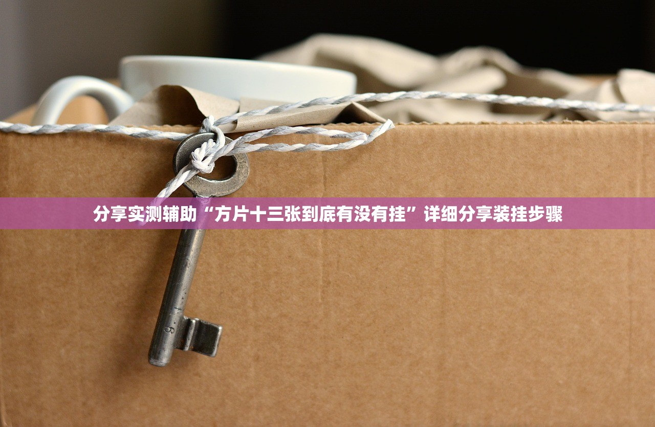 分享实测辅助“方片十三张到底有没有挂”详细分享装挂步骤
