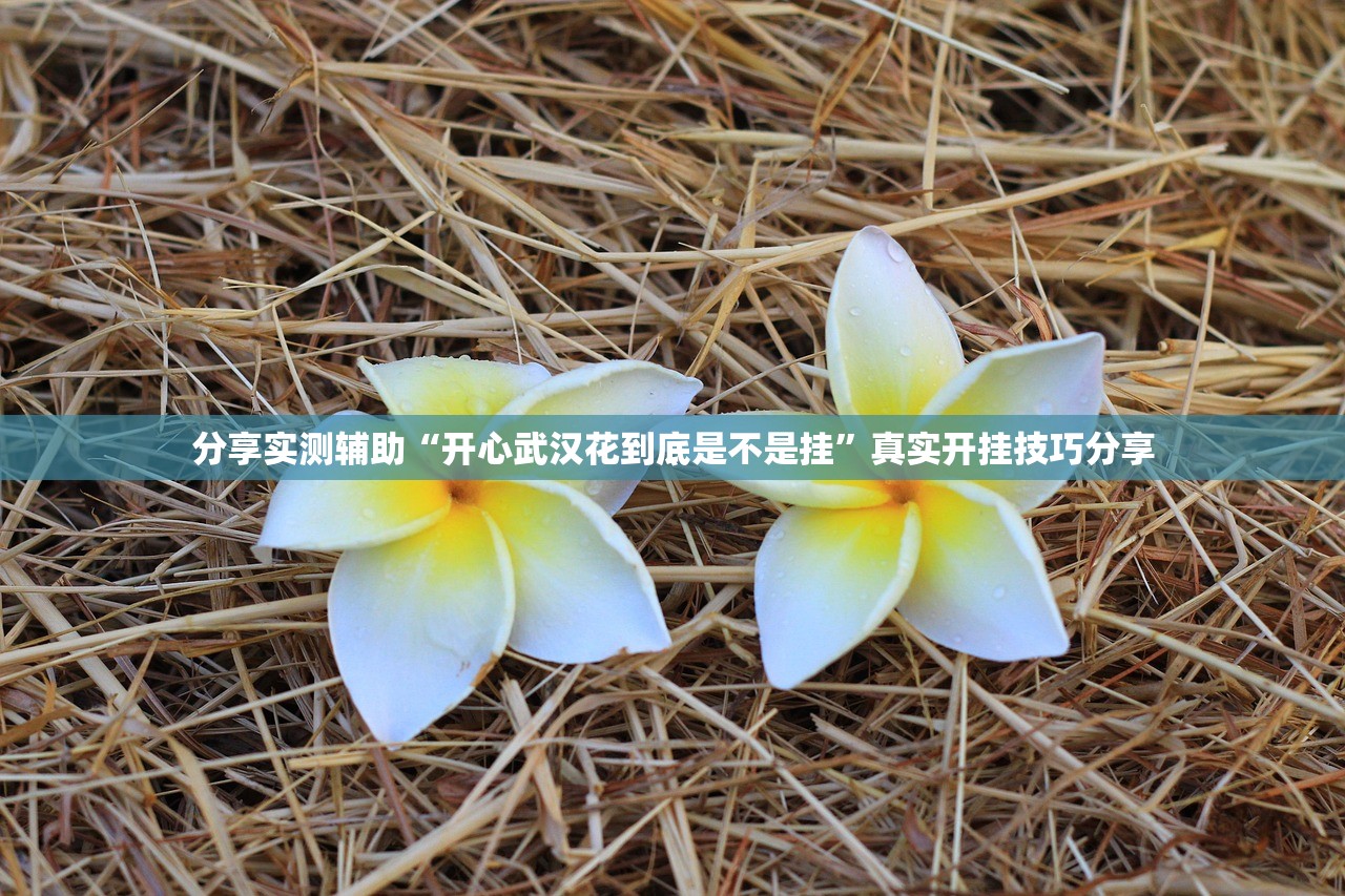 分享实测辅助“开心武汉花到底是不是挂”真实开挂技巧分享