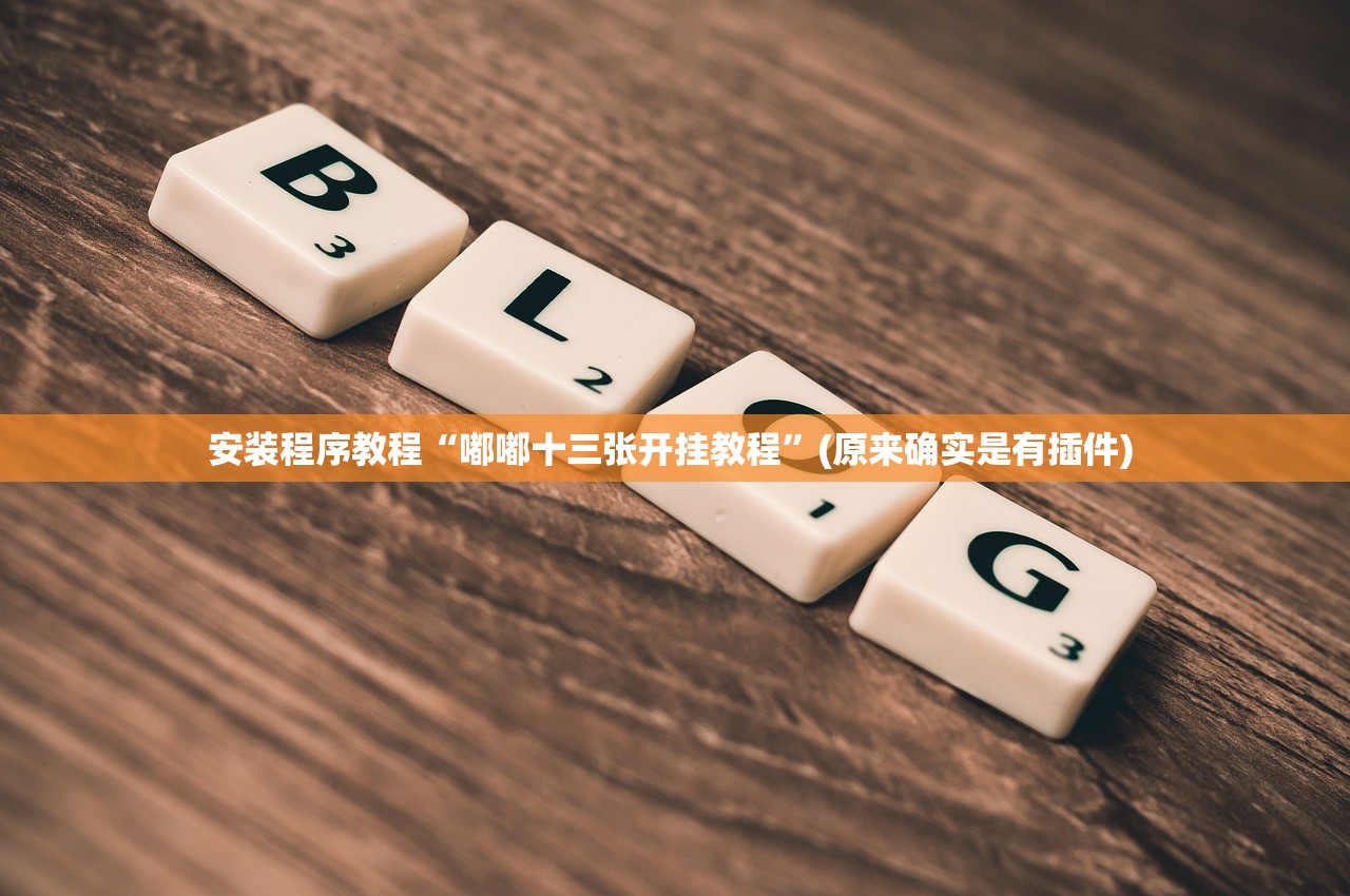 安装程序教程“嘟嘟十三张开挂教程”(原来确实是有插件) 
