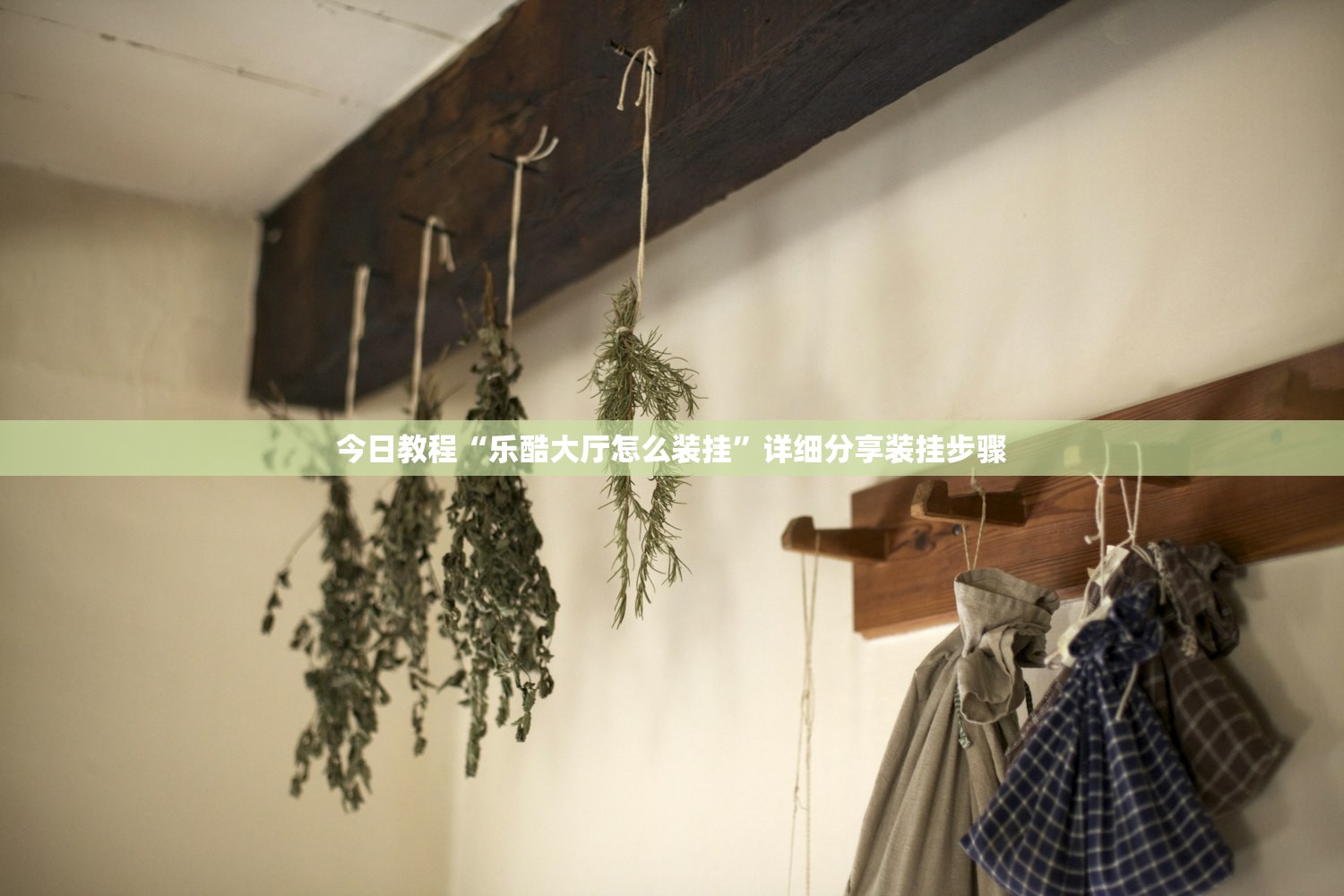 今日教程“乐酷大厅怎么装挂”详细分享装挂步骤