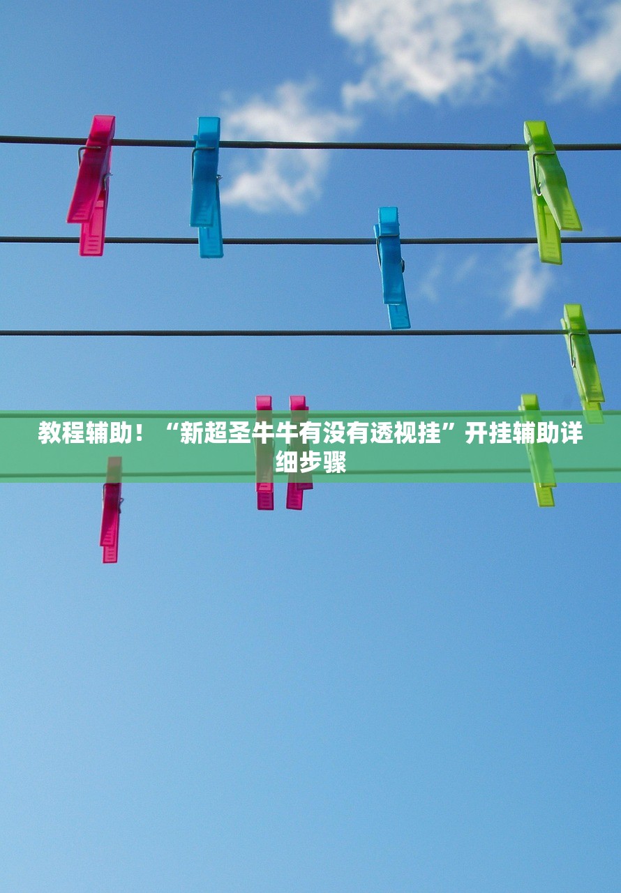 教程辅助！“新超圣牛牛有没有透视挂	”开挂辅助详细步骤