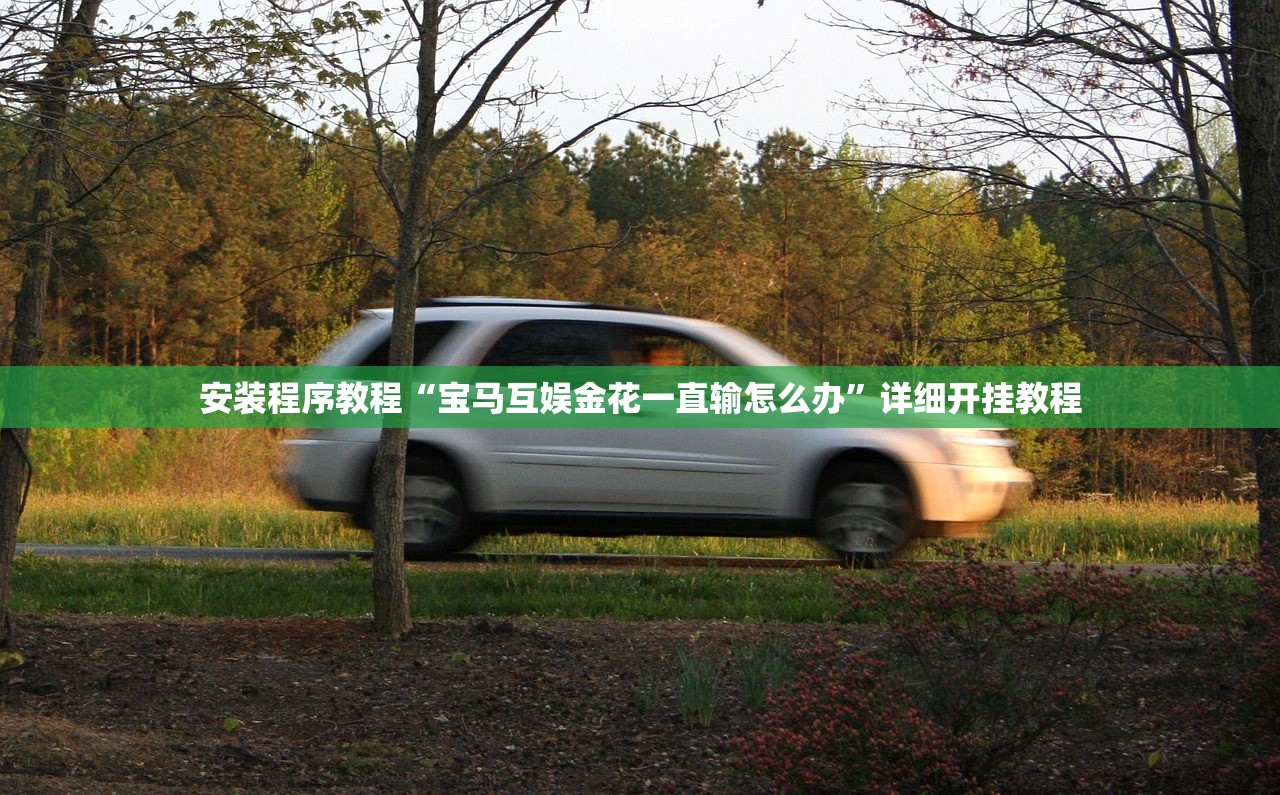 安装程序教程“宝马互娱金花一直输怎么办	”详细开挂教程