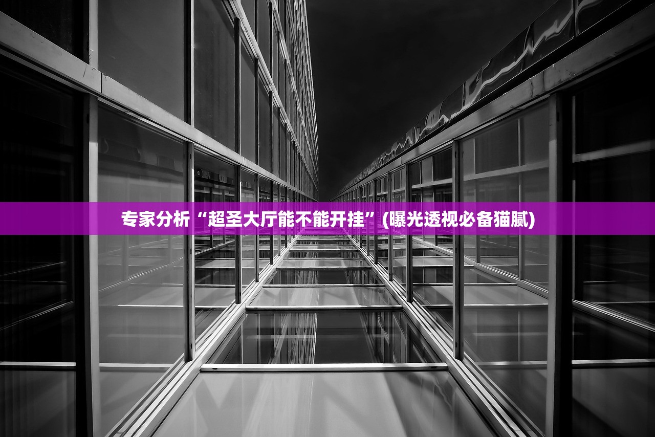 专家分析“超圣大厅能不能开挂”(曝光透视必备猫腻)