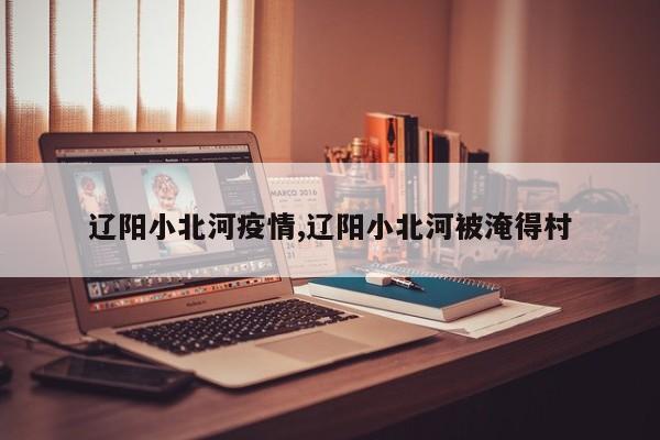辽阳小北河疫情,辽阳小北河被淹得村