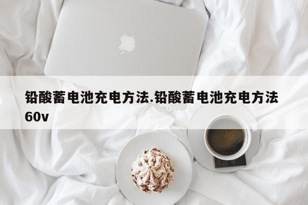 铅酸蓄电池充电方法.铅酸蓄电池充电方法 60v