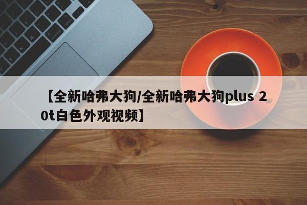 【全新哈弗大狗/全新哈弗大狗plus 20t白色外观视频】