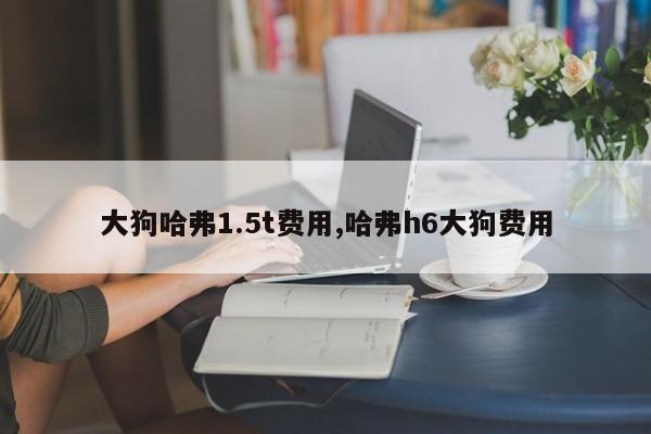 大狗哈弗1.5t费用,哈弗h6大狗费用