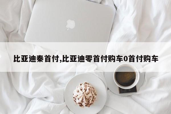 比亚迪秦首付,比亚迪零首付购车0首付购车