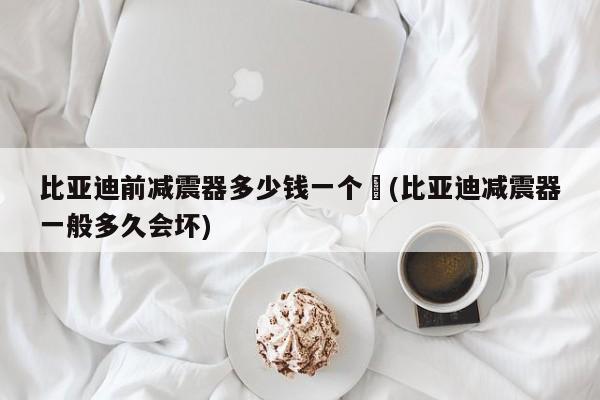比亚迪前减震器多少钱一个︰(比亚迪减震器一般多久会坏)