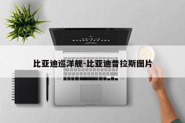 比亚迪巡洋舰-比亚迪普拉斯图片