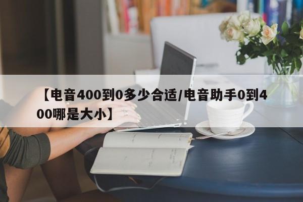 【电音400到0多少合适/电音助手0到400哪是大小】